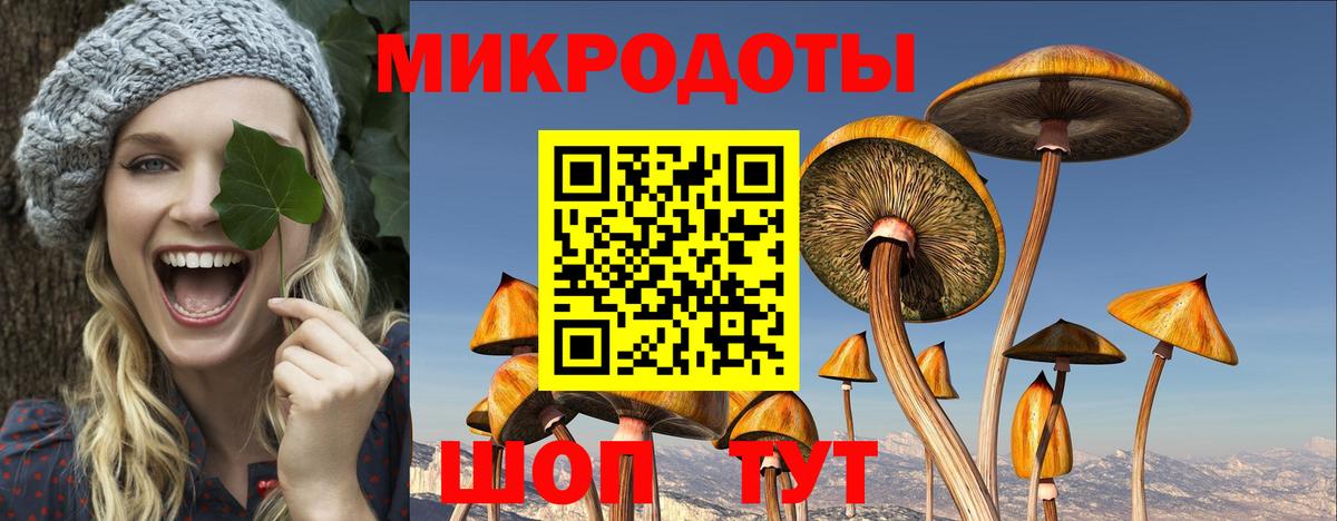 Псилоцибиновые грибы MAGIC MUSHROOMS Десногорск