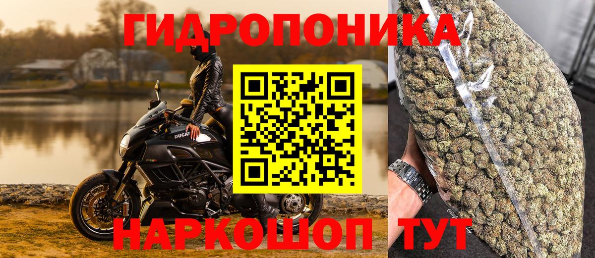 Бошки марихуана OG Kush Десногорск
